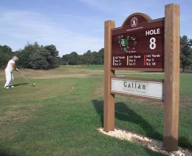 cedar medium tee sign